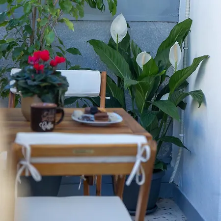 Stel House Apartment